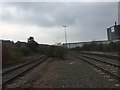 Railway Sidings at Tinsley