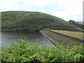 SE0509 : The dam, Blakeley reservoir by Christine Johnstone