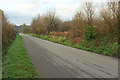 Lane, Great Torrington Common