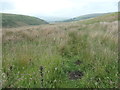 Public footpath near Hey Dike