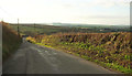 Lane to Great Torrington