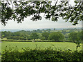 View eastwards from The Sleights, Huby