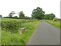 Bench beside The Sleights, Huby