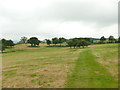 Bridleway below Newby Manor