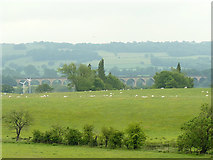 SE2645 : Arthington Viaduct from Gravelly Hill by Stephen Craven