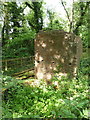 Remains of pumping engine structure