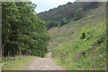 SO2003 : Steep section of forestry track, Cwm Big by M J Roscoe