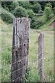 SO6610 : Old level crossing gatepost by John Winder