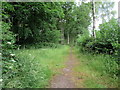 SO9258 : Path from Trench Wood car park by Roy Hughes