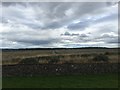 Culloden Battlefield