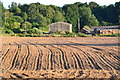 Evening light on new furrows, Morrisholt Farm