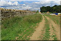 Nene Way near Upton Hall Farm