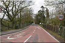 TQ1750 : Pixham Lane by N Chadwick
