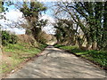 Country road between Gobowen and Hindford