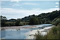 SO5530 : River Wye at Hoarwithy by John Winder
