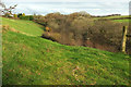 Wood above Huntshaw Water