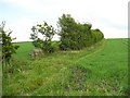 Footpath opposite Firs Lane, Hoyland Swaine