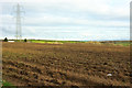 SS4923 : Farmland southeast of Gammaton Moor by Derek Harper