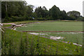 Watercress Beds beside Bedfield Lane