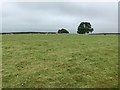 SK2269 : Fields of Ballcross Farm by Andrew Abbott