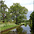 Trent and Mersey Canal by Shugborough Park in Staffordshire