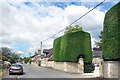 Fine Hedges at the Old Vicarage