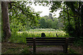 Seat and view towards St. Swithun