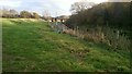 Field adjacent to the River Rother