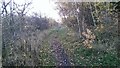 Footpath near Old Flatts Farm