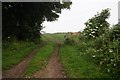 Minster Way towards Westfield Farm