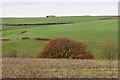 View near Weare Giffard