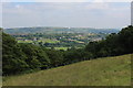 View over Ramsden Wood