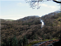 SN7377 : Steam in the trees at Derwen by John Lucas