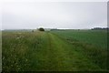 Path leading to Middleton Road