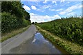 TM0779 : Bressingham: Low Road by Michael Garlick