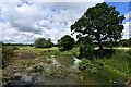 Bressingham: Pond opposite Meadow Rise