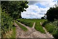 Redgrave: Bier Lane public footpath