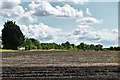 Hinderclay: Ploughed field at Walnut Tree Farm