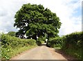 Minor road near Eastwood Manor