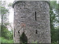NX9372 : Stone Tower in Tower Wood by Graham Ovens