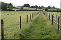 Northamptonshire Round towards Harpole Covert