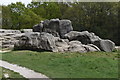 TQ5739 : Wellington Rocks by N Chadwick
