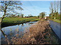 Moat at the former Frankley Hall site