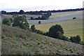 Dry valley southwest of Lockerley