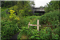 Path under the railway bridge