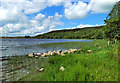 Barnshean Loch