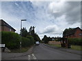 Lamppost at the junction of Border Road and Crichmere Lane