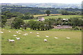 Ty Pentre Farm, Mynyddislwyn