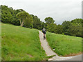 Path from Fawcett Way to Fawcett Lane