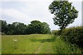 Bridleway near Haywold Farm